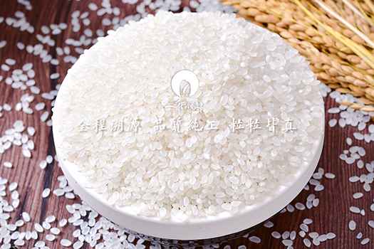 海志鹏水稻